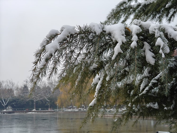 Snow-clad Donghuan Park in Shijiazhuang Emanates Winter Charm_fororder_圖片21