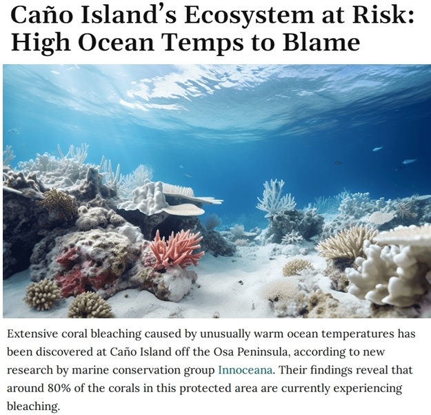 厄尔尼诺现象导致生物保护区珊瑚白化 生态受损