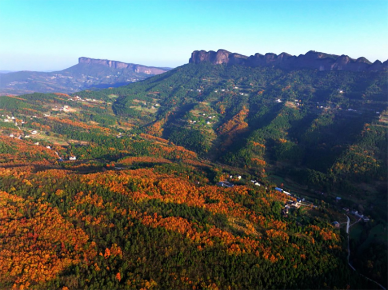 广元：剑门蜀道换“彩衣” 初冬旅游好去处_fororder_未标题-3