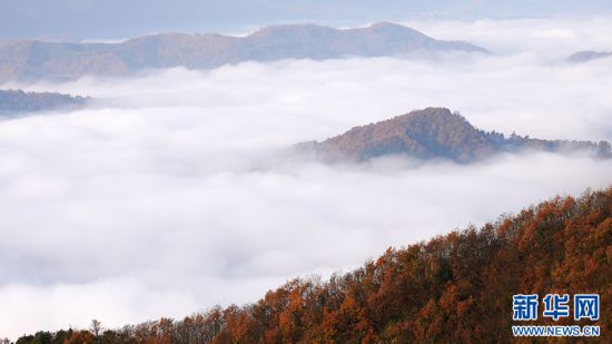 秦岭山城石泉冬日云海现奇观 邀您赴人间惊鸿宴