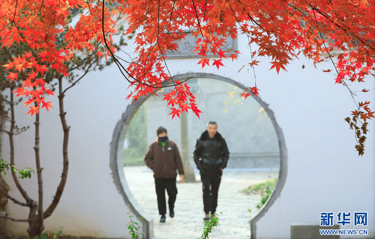 江蘇姜堰：城市公園 冬景如畫