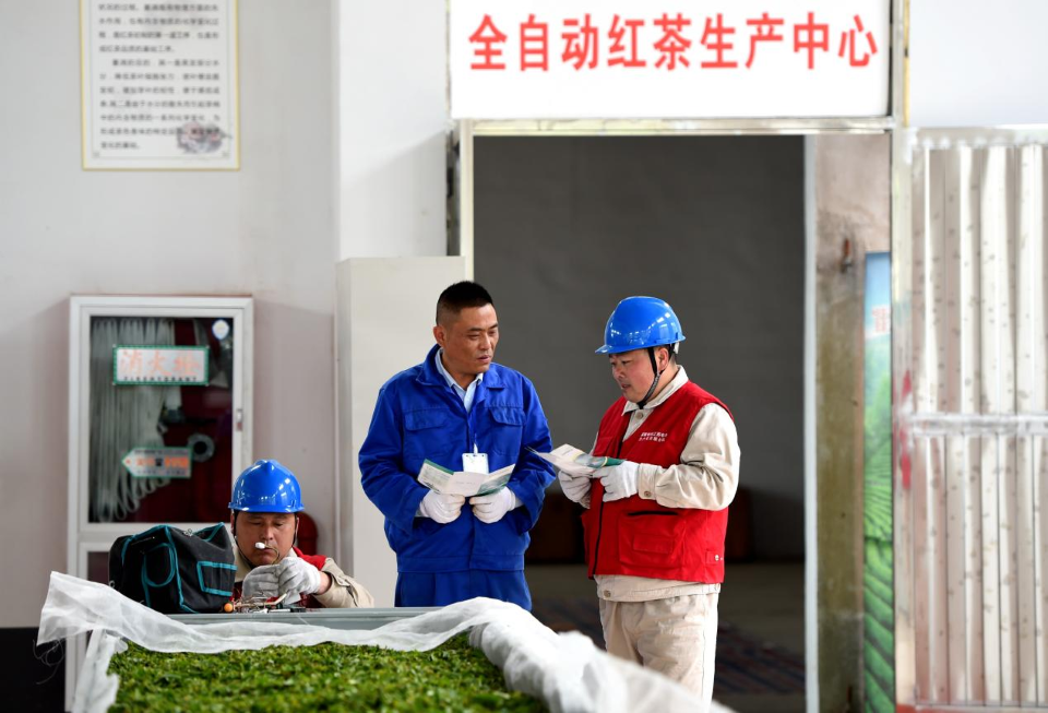 State Grid Supports 'Wealth through Tea' Initiative in Yushan Village, Huai'an, Jiangsu_fororder_图片8