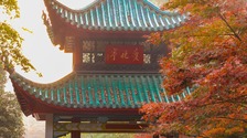 又是一年好“楓”景，長沙岳麓山的楓葉紅了