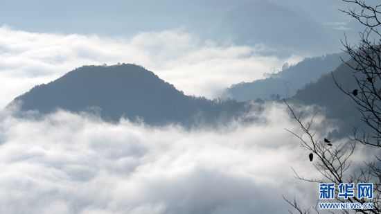 秦岭山城石泉冬日云海现奇观 邀您赴人间惊鸿宴