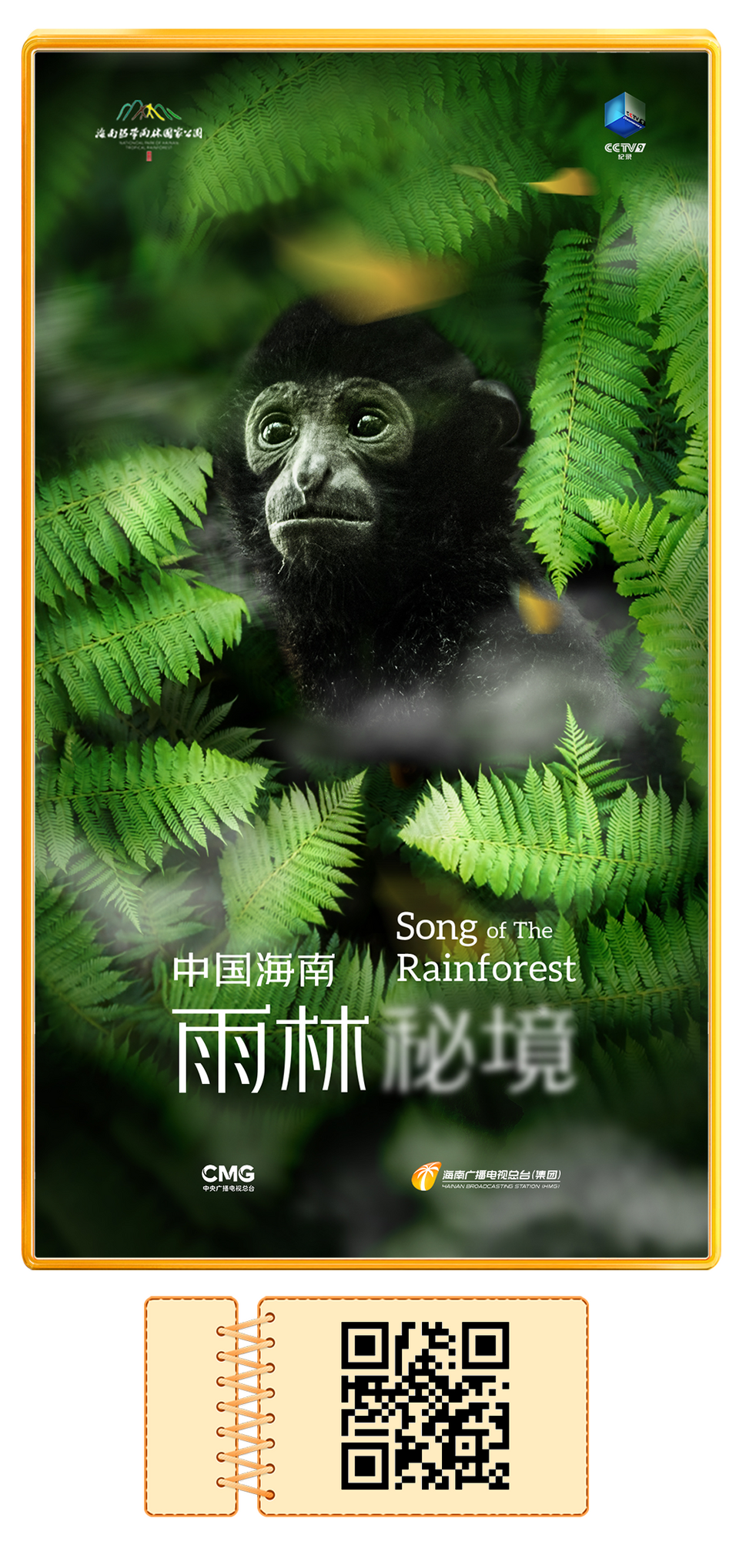 总台周末看点丨2024，上新！