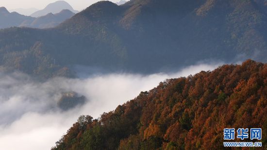 秦岭山城石泉冬日云海现奇观 邀您赴人间惊鸿宴