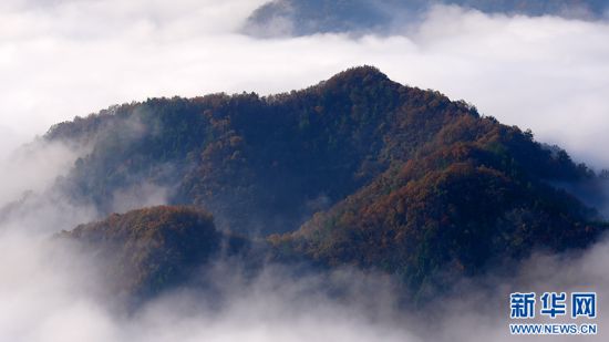 秦岭山城石泉冬日云海现奇观 邀您赴人间惊鸿宴