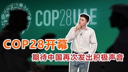 COP28开幕 期待中国再次发出积极声音