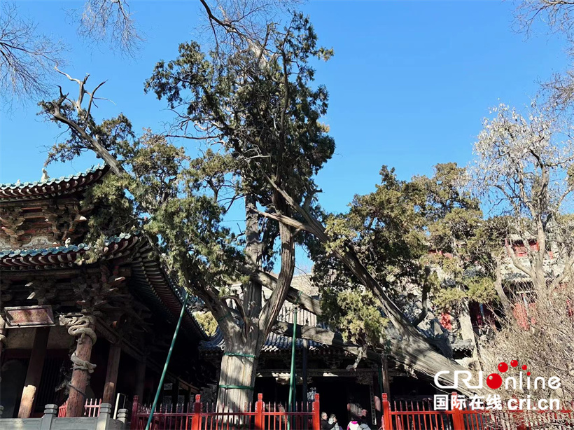 江山如画｜晋祠：穿梭时光的长河，承载千年的古韵_fororder_04