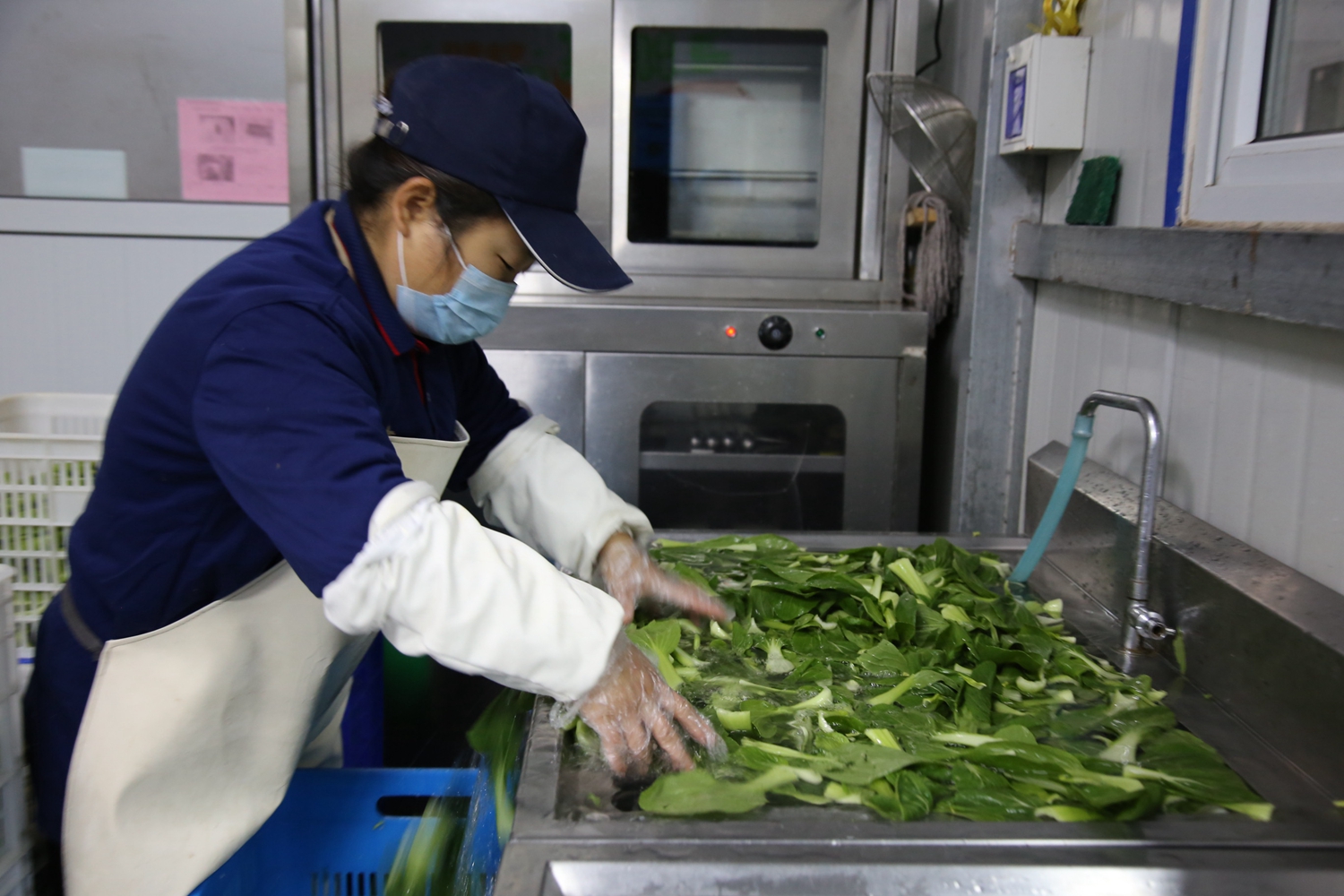 保定市满城区：“千里眼”守护师生舌尖安全_fororder_食堂人员正在清洗青菜 摄影 贾林静.JPG