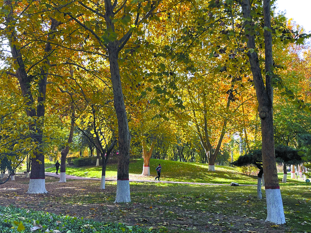 河北石家庄：家门口的健身场_fororder_5