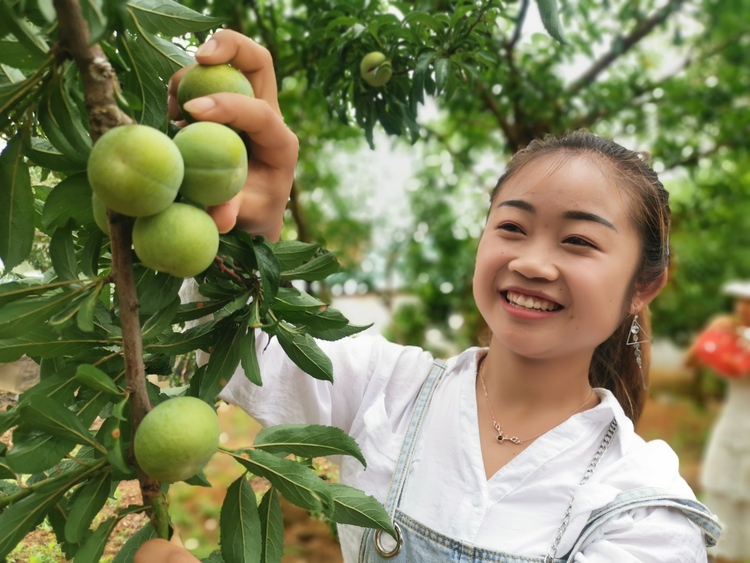 六盘水市水城区：奋楫笃行增干劲 乘风破浪启新程