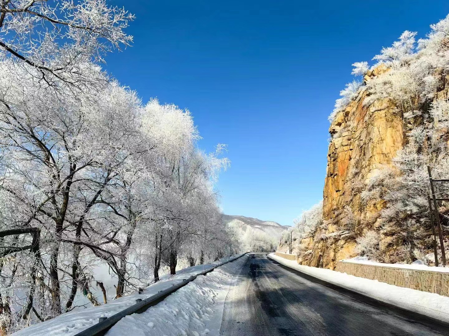 玉树冰花，限时美景！冬日的雾凇谷竟然呈现出了梦幻美景！_fororder_微信图片_20240103145658