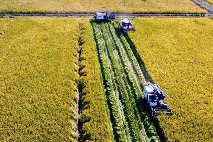 寻求“最优解”！嘉兴推进土地综合整治“一块地”集成改革_fororder_1732159376996847618_720px