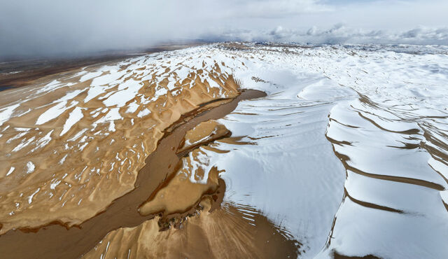 千山万物栖——新疆阿尔金山生态保护实践观察