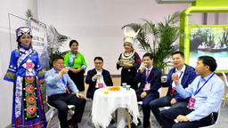 引领森林旅游风潮！贵州馆亮相2023海南休博会