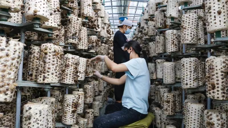 河北涞源：高质量推进省级衔接示范区建设_fororder_微信图片_20231205143644