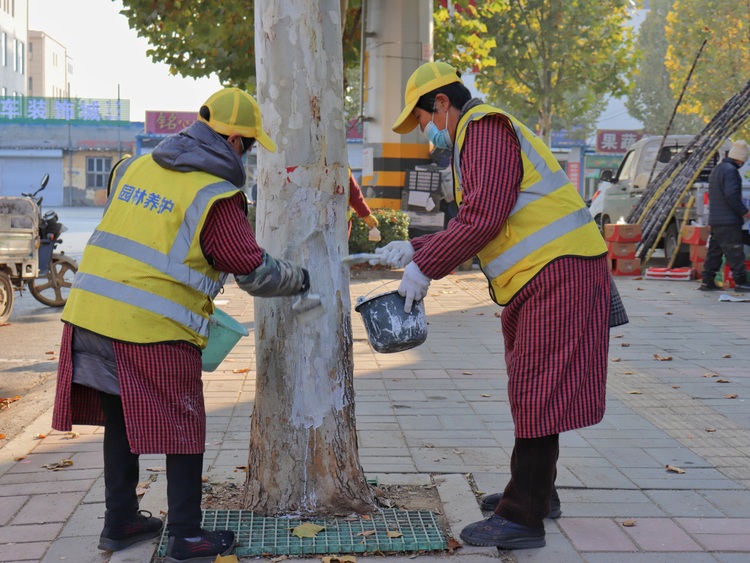 保定博野：加快城区绿化养护 扮靓城市“颜值”_fororder_6