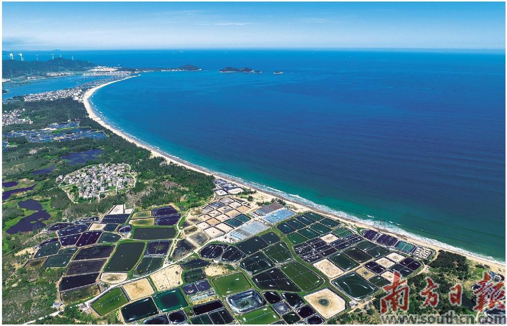 广东阳江阳西打造海洋牧场  “种子”产业链_fororder_微信图片_20231206105223