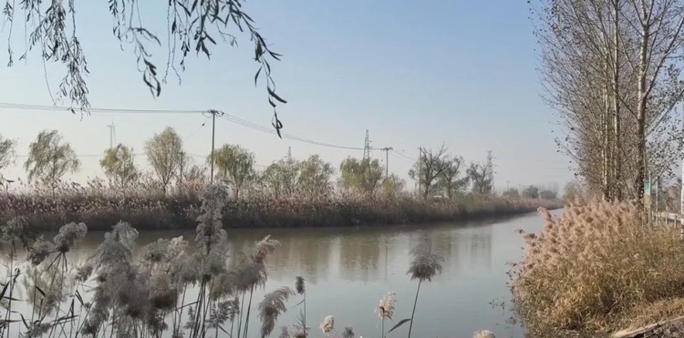 天津宁河区探索跨界河流治理协作机制_fororder_2