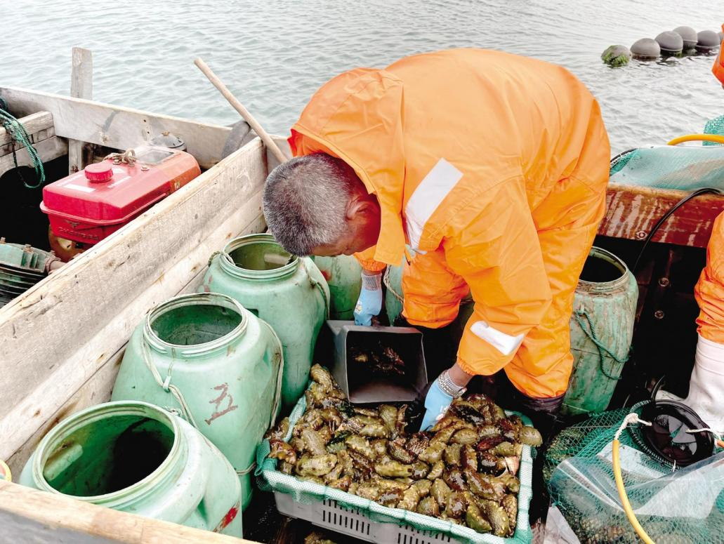 “В поисках вкуса” - трепанги с острова Чжифу_fororder_圖片2