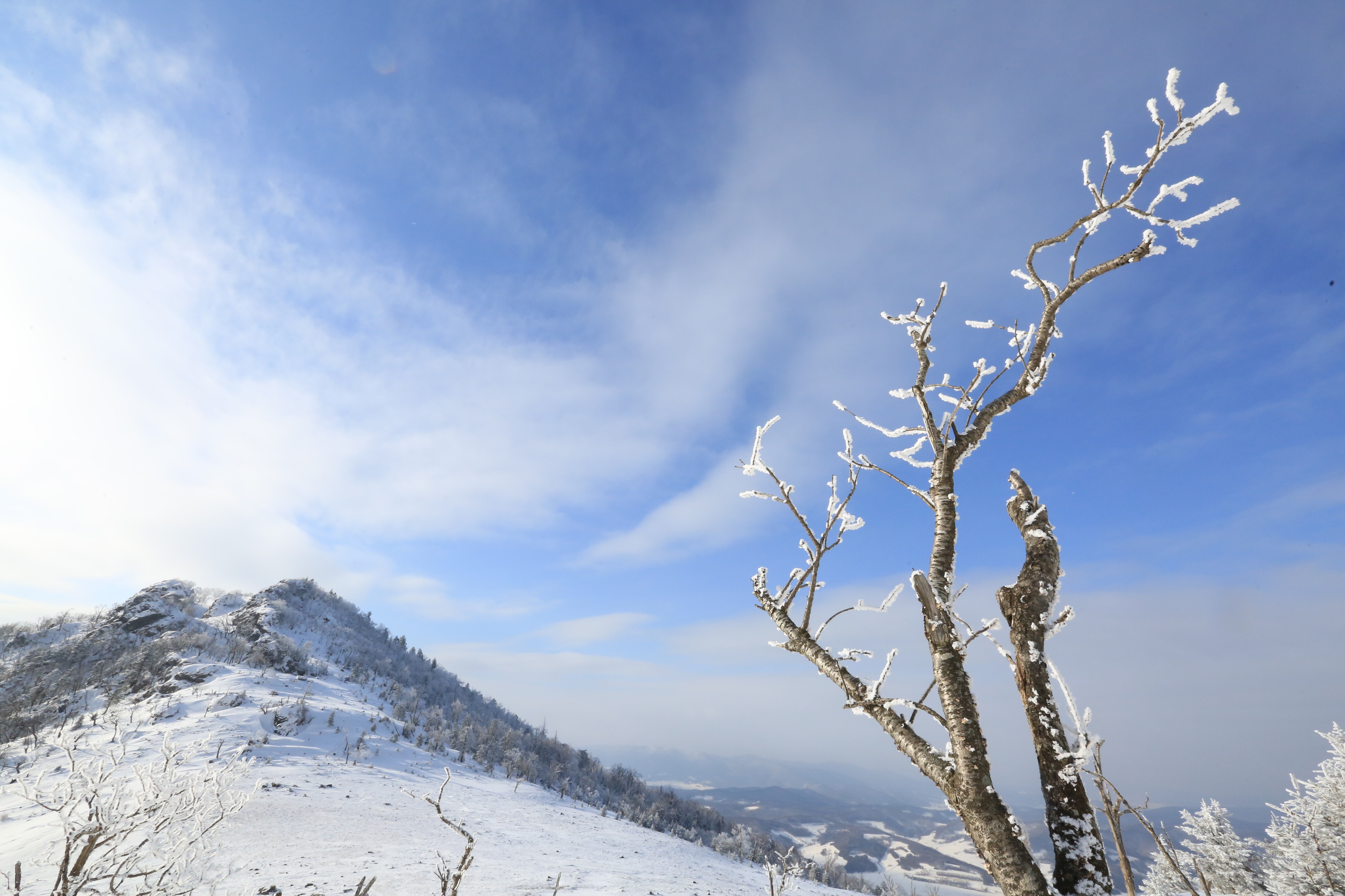 高山雾凇