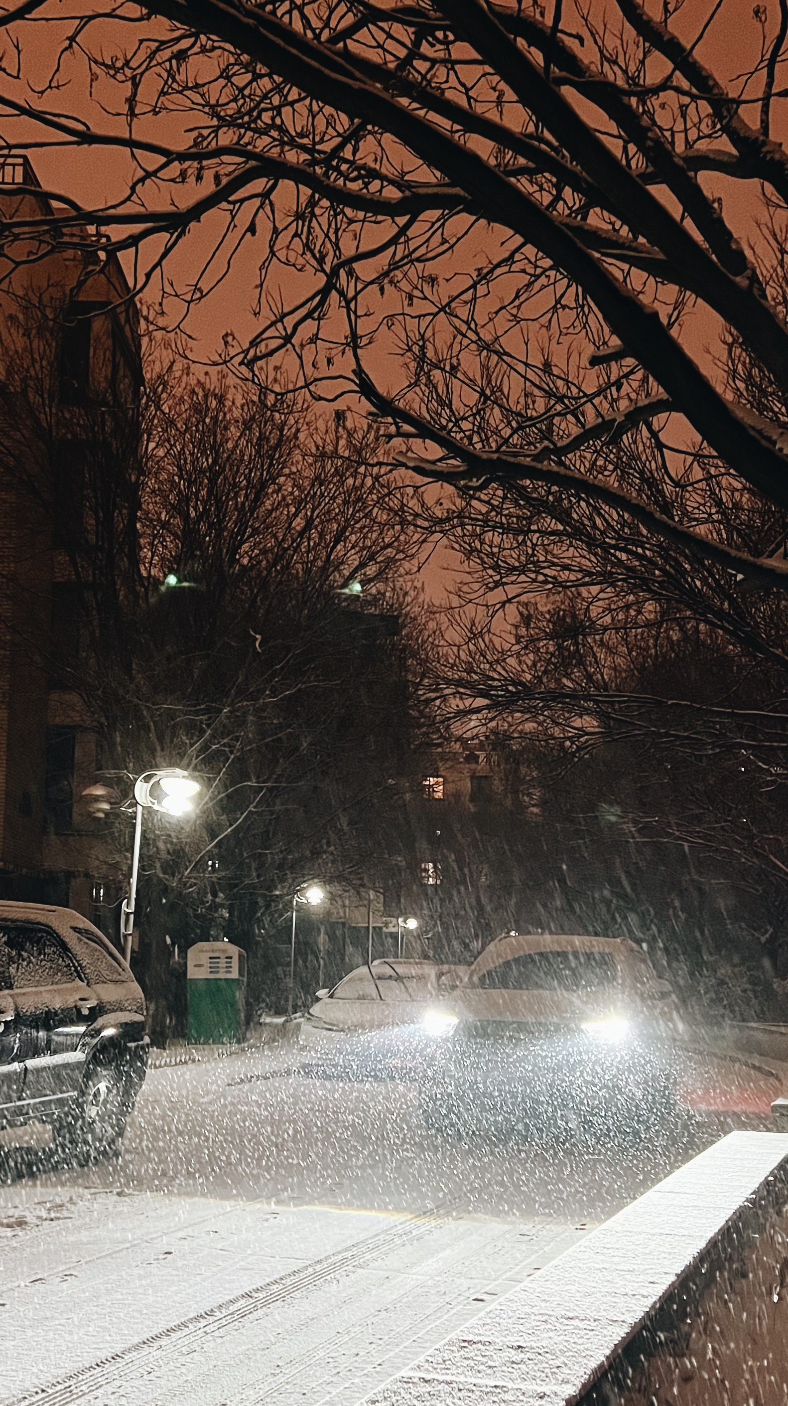 雪落青城景如画_fororder_微信图片_20231211155925