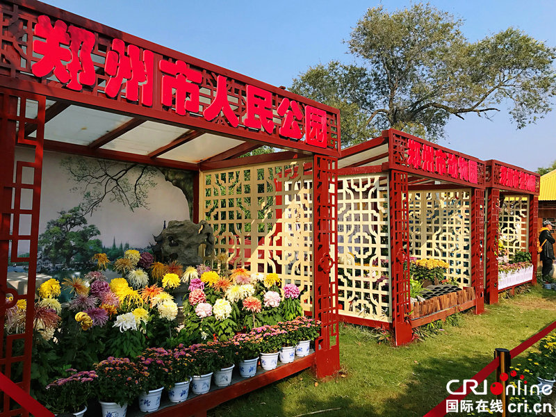 【河南原创】2019中华菊王争霸赛在开封市龙亭公园举行