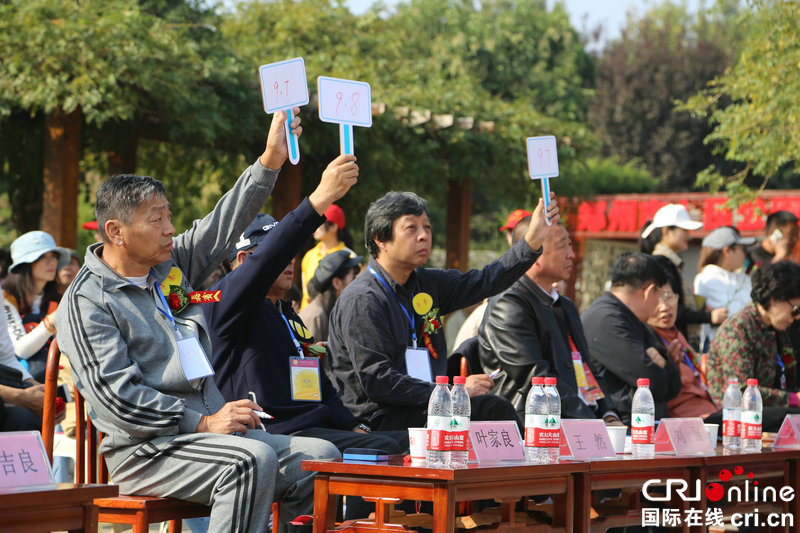 【河南原创】2019中华菊王争霸赛在开封市龙亭公园举行