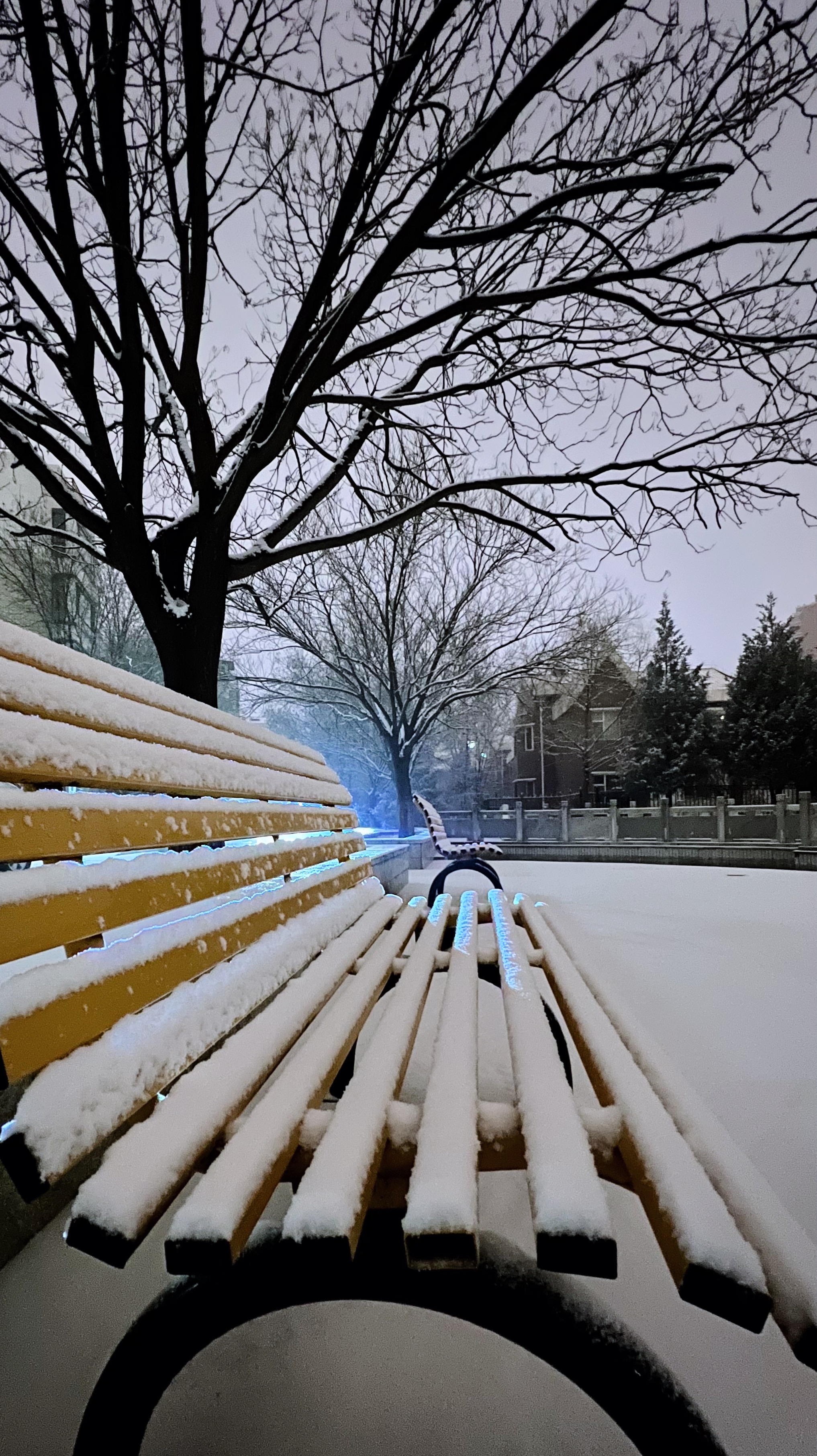 雪落青城景如画_fororder_微信图片_20231211155916