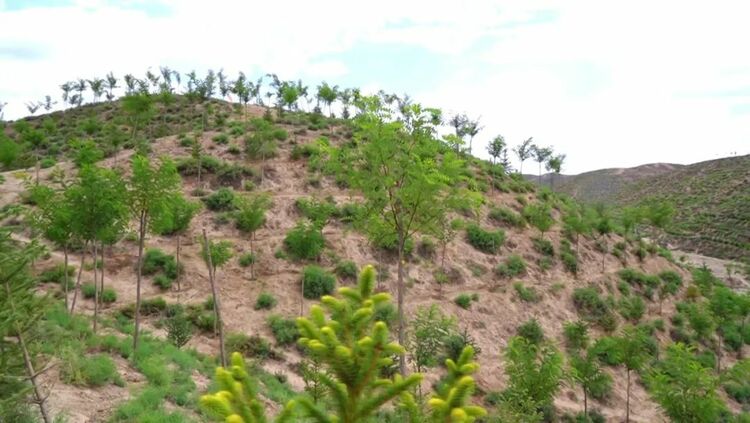 白銀:聚焦綠色賦能 厚植高品質發展靚麗底色_fororder_圖片20