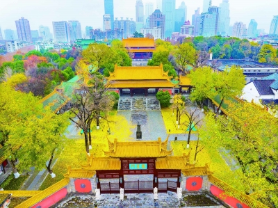 南京：雨後朝天宮 一地“黃金毯”