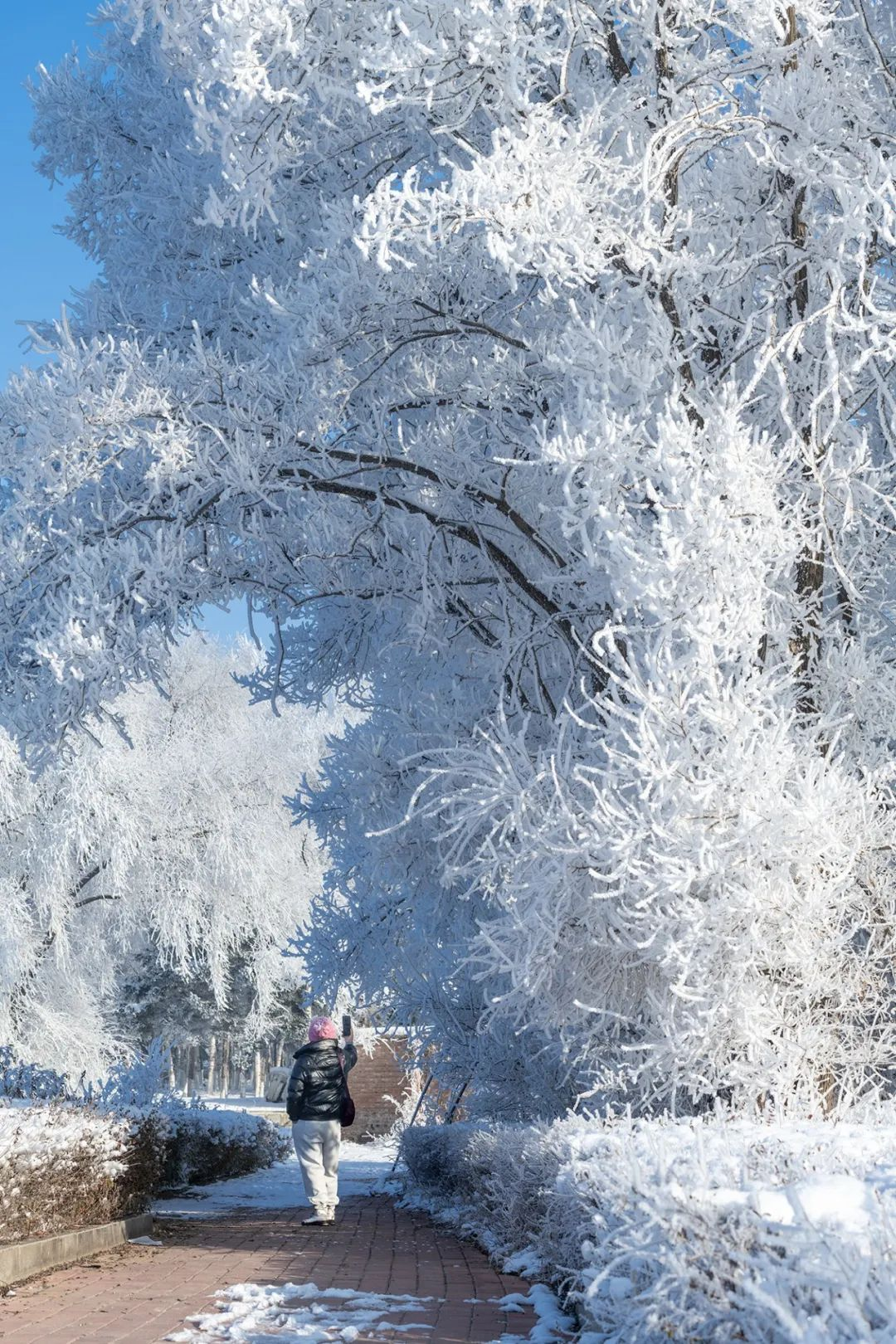 赏凇踏雪 桦甸雾凇美不胜收