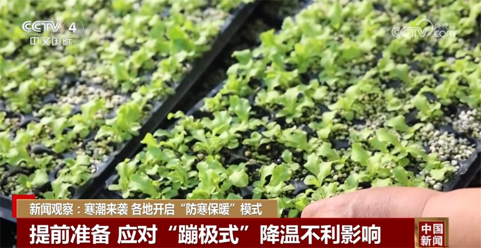 各地应对寒潮天气开启“防寒保暖”模式 想方设法保民生、解民忧