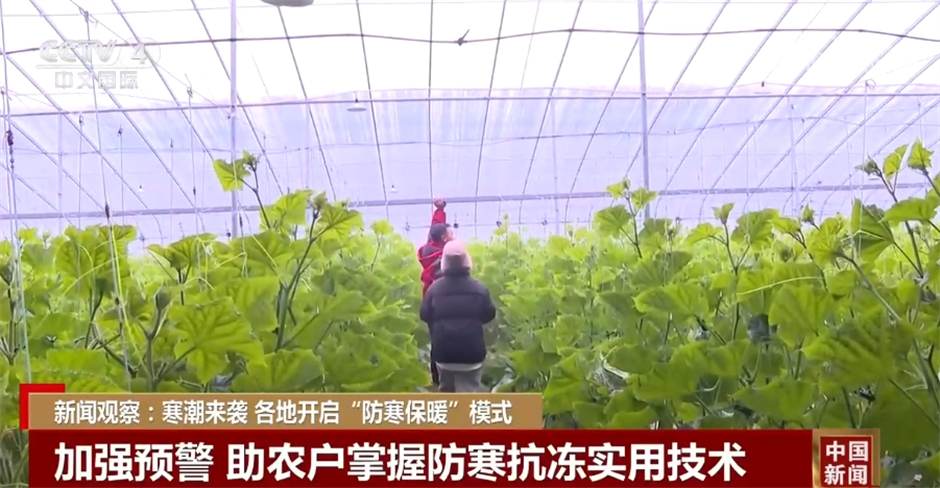 各地应对寒潮天气开启“防寒保暖”模式 想方设法保民生、解民忧