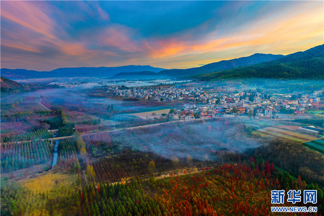 昆明甸尾村水杉上线打卡彩云之南的冬日色彩