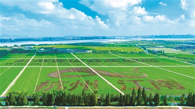 萧山 何以擦亮城东智造大走廊上的“江南明珠”