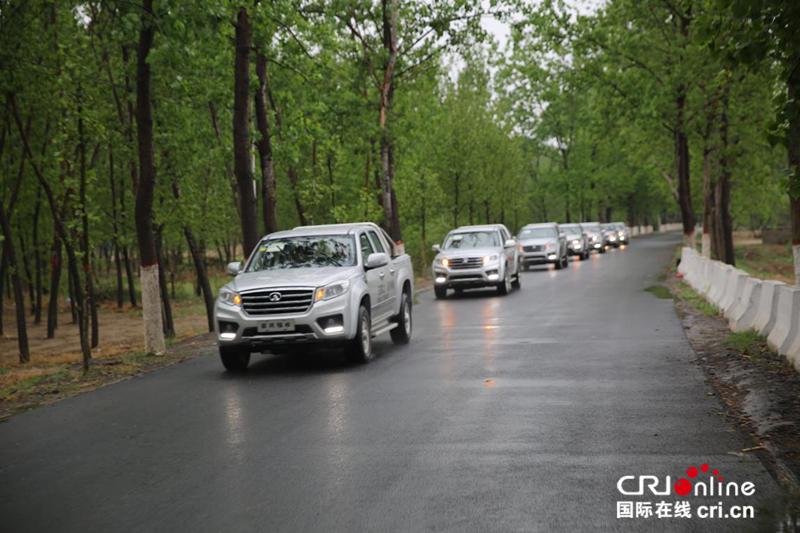 图片默认标题_fororder_皮卡2