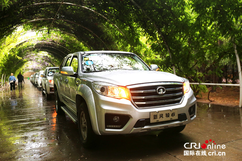 图片默认标题_fororder_皮卡1