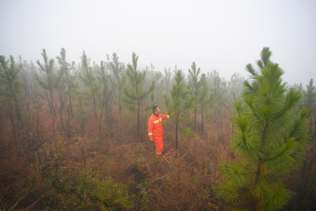 守好这一库碧水——探访南水北调中线工程水源地丹江口库区