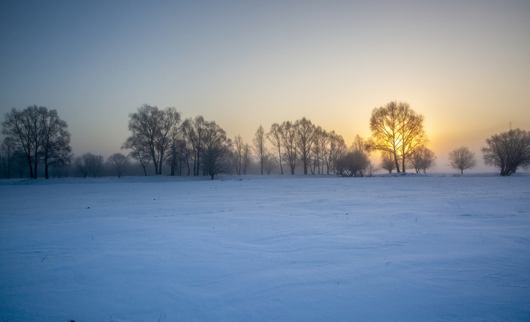 零下40度的湿地日出_fororder_白茫茫的雪原之上，寻找心灵治愈的地方。（摄影：才广）