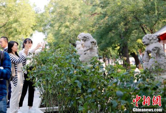 故宮國慶節前夕開放新區 神秘冰窖將開放