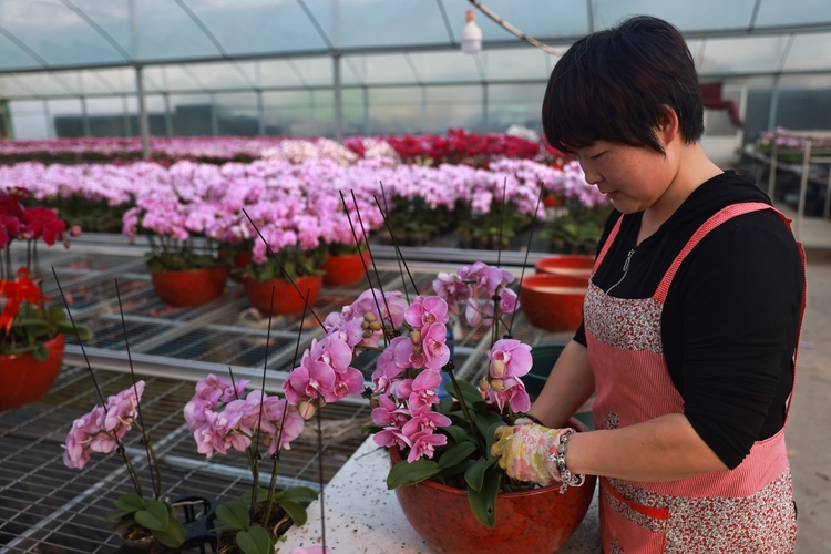 图片默认标题_fororder_003