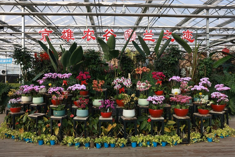 图片默认标题_fororder_001