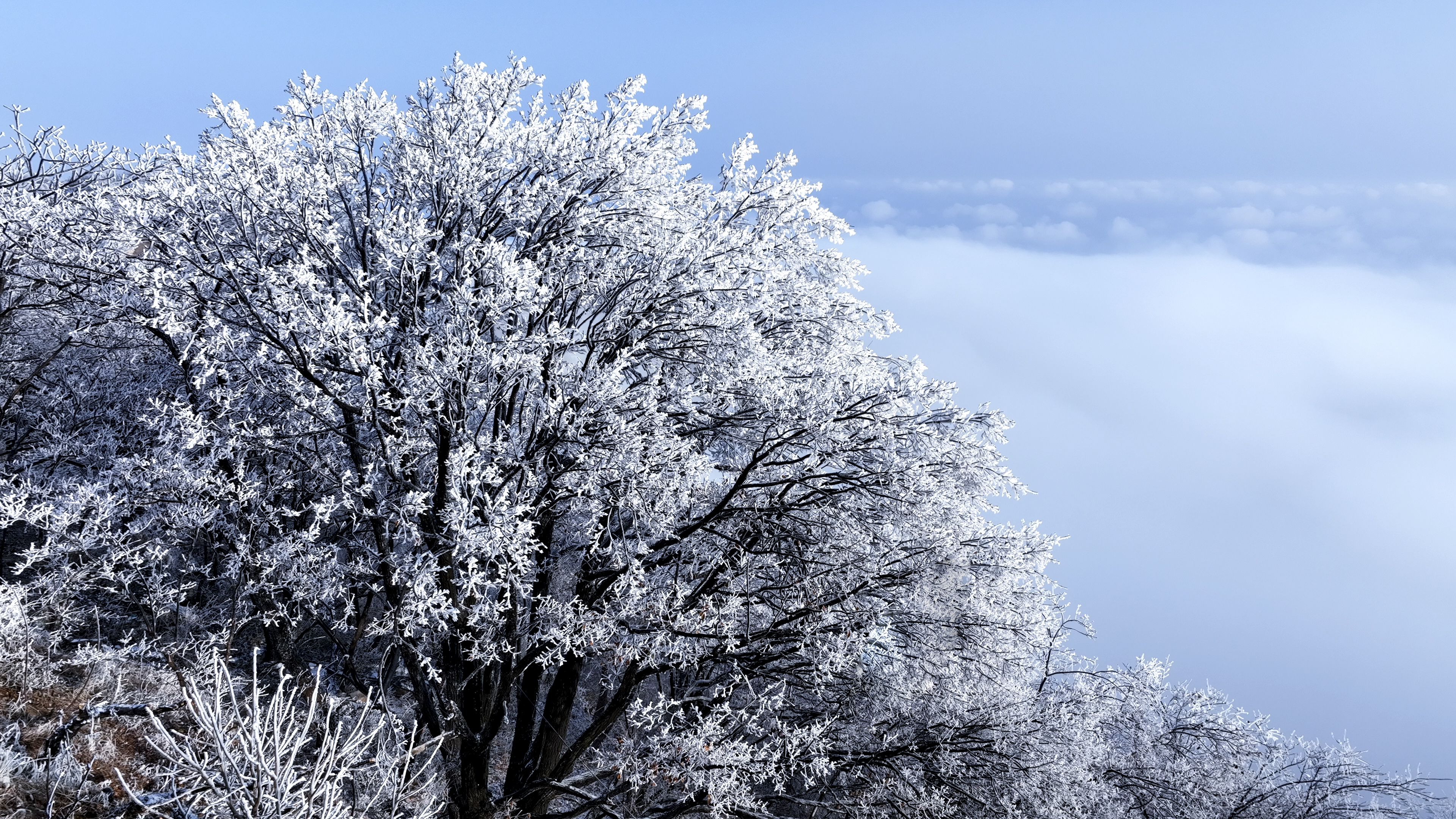 飞雪落成诗 一秒入仙境！雪后河南 美出“天际”