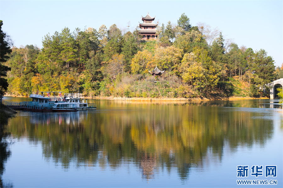 贵州长顺：冬日杜鹃湖美如画
