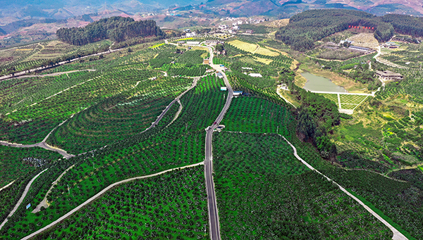 眉山丹棱：以橘为“心”强产业 助农增收共富裕_fororder_丹橙现代农业园区核心区——红石村