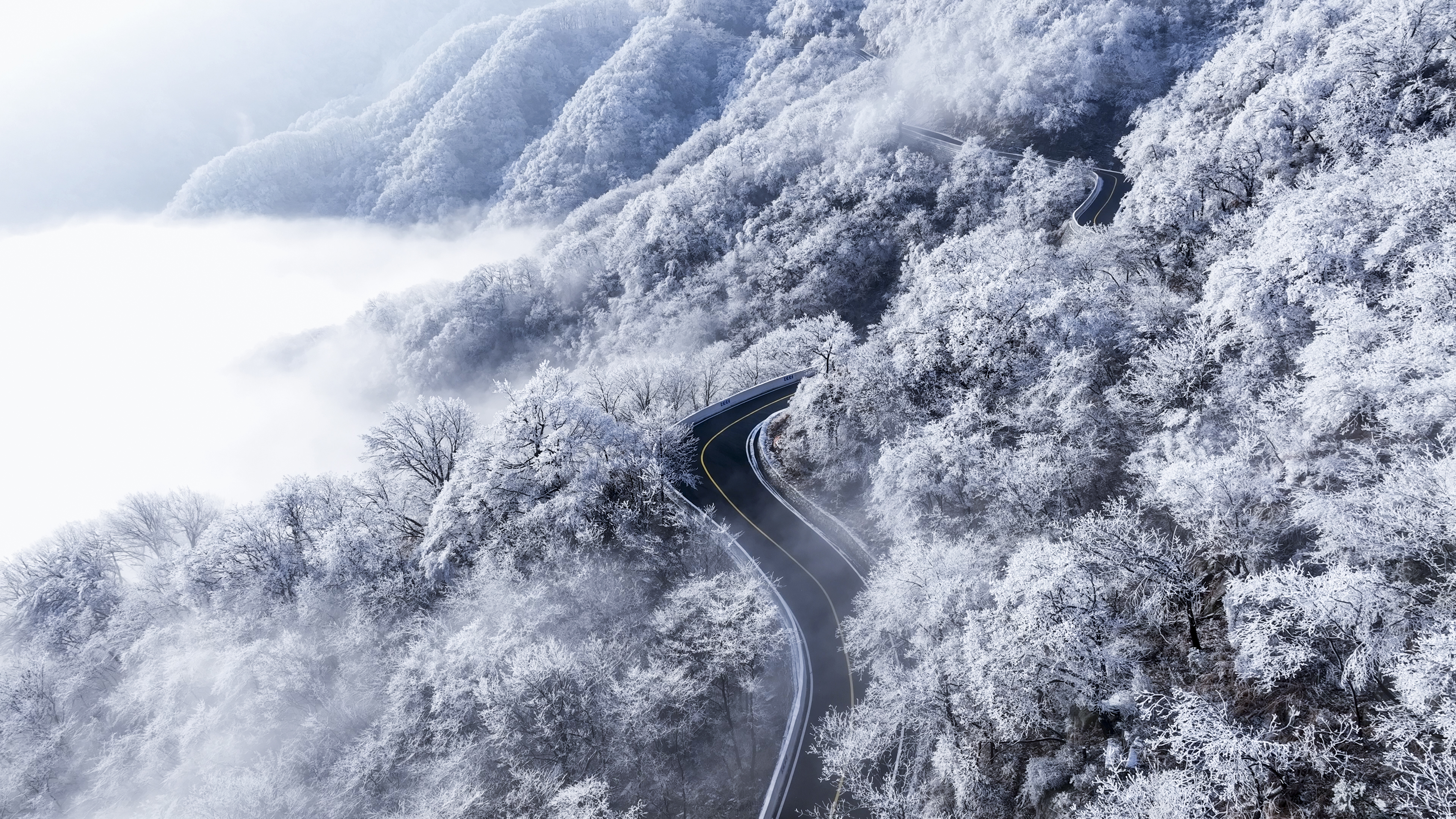 飞雪落成诗 一秒入仙境！雪后河南 美出“天际”