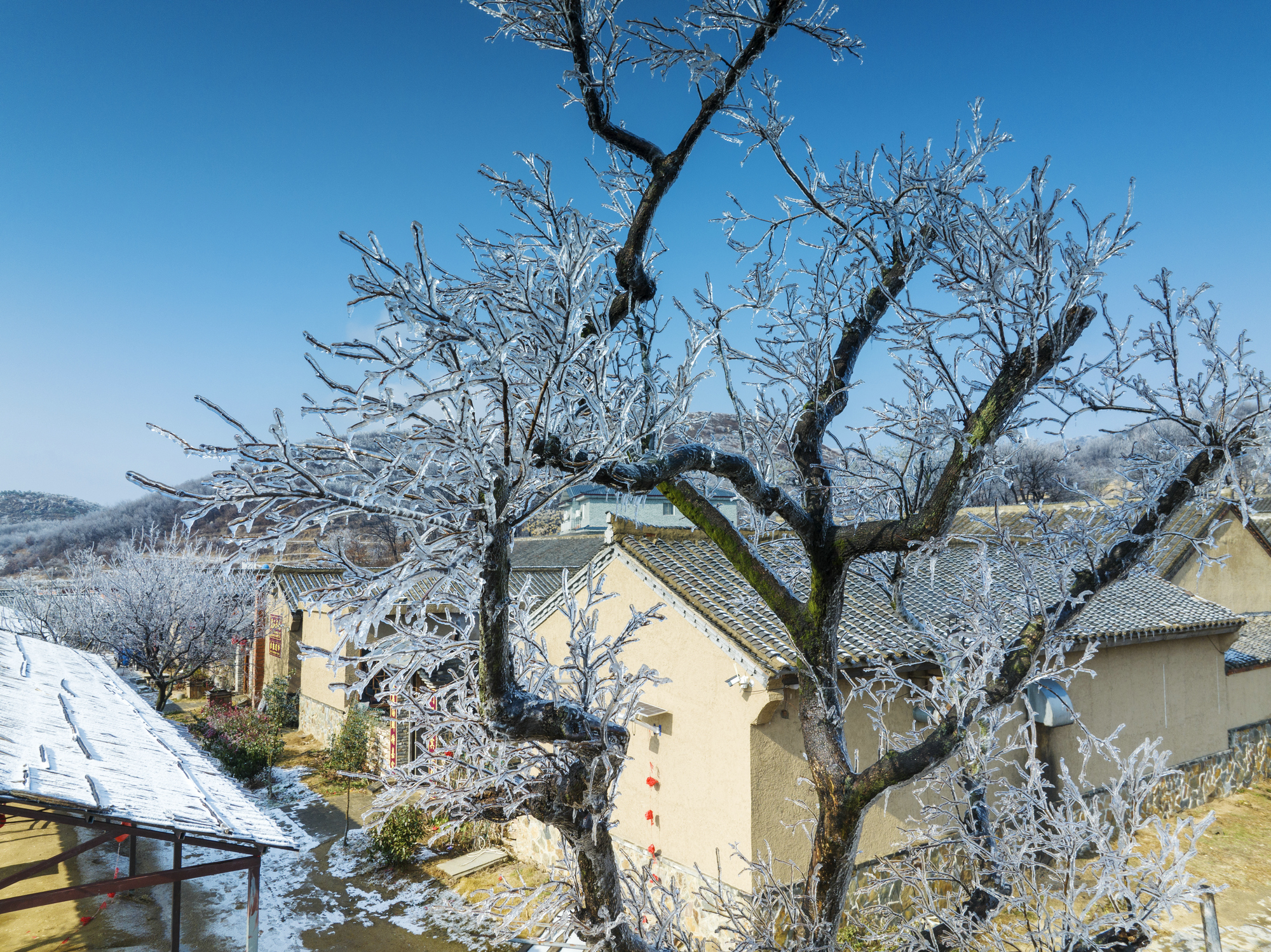 飞雪落成诗 一秒入仙境！雪后河南 美出“天际”