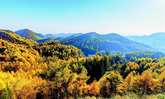 湖北省出台国有林场发展规划